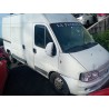 fiat ducato furgoneta (244_) del año 2003