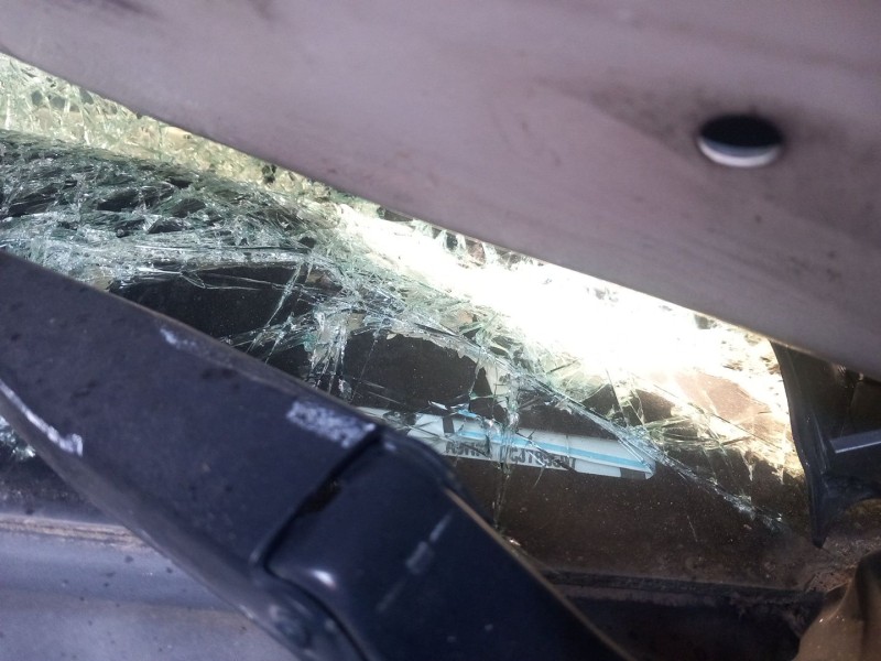 citroën berlingo furgón (2008) del año 2012