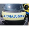 Recambio de capot para fiat ducato furgoneta (250_) 130 multijet 2,3 d referencia OEM IAM   