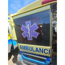 Recambio de puerta trasera izquierda para fiat ducato furgoneta (250_) 130 multijet 2,3 d referencia OEM IAM   