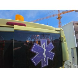 Recambio de puerta trasera derecha para fiat ducato furgoneta (250_) 130 multijet 2,3 d referencia OEM IAM   