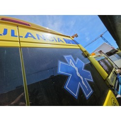 Recambio de puerta trasera derecha para fiat ducato furgoneta (250_) 130 multijet 2,3 d referencia OEM IAM   