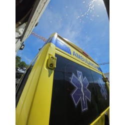 Recambio de puerta trasera izquierda para fiat ducato furgoneta (250_) 130 multijet 2,3 d referencia OEM IAM   