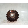 Recambio de polea cigueñal para audi a3 sportback (8pa) 2.0 tdi 16v referencia OEM IAM 04L105263C  