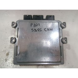 Recambio de centralita inyeccion para peugeot 307 (3a/c) 2.0 hdi 90 referencia OEM IAM 5WS40133CT  