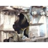 Recambio de motor completo para hyundai i10 ii (ba, ia) 1.0 lpg referencia OEM IAM G3LA  