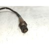 Recambio de sonda lambda para peugeot 207 (2006) 1.6 67 cv referencia OEM IAM 0258017217  