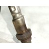 Recambio de sonda lambda para fiat ii panda (169)(2003) 1.2 referencia OEM IAM 55222781  