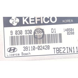 Recambio de centralita inyeccion para hyundai getz (tb)(2002) 1.1 referencia OEM IAM 3911002420  