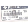 Recambio de centralita inyeccion para hyundai getz (tb)(2002) 1.1 referencia OEM IAM 3911002420  