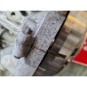 Recambio de motor completo para ford focus ii sedán (da_) 1.6 tdci referencia OEM IAM HHDA  