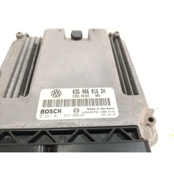 Recambio de centralita inyeccion para seat altea (5p1) 1.9 tdi referencia OEM IAM 03G906016DH  