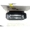 Recambio de nucleo abs para nissan pathfinder (r51)(01.2005) 2.5 dci 4wd referencia OEM IAM 06210903323  