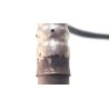 Recambio de sonda lambda para ford fiesta v (jh_, jd_) 1.3 referencia OEM IAM 2S6A9G444BA  