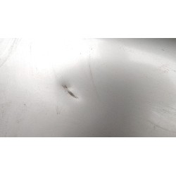 Recambio de capot para volvo v40 familiar (1995) 1.9 di referencia OEM IAM   