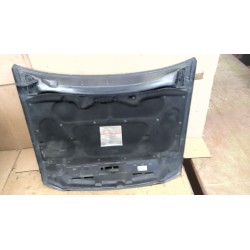 Recambio de capot para fiat stilo (192_) 1.9 jtd (192_xe1a) referencia OEM IAM   