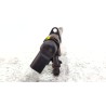 Recambio de inyector para citroën c4 coupé (la_) 2.0 hdi referencia OEM IAM 9657144580  