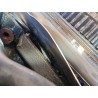 Recambio de motor completo para audi a3 sportback (8pa) 2.0 tdi 16v referencia OEM IAM CFF  