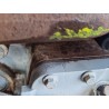 Recambio de motor completo para iveco iveco camion basurero a1lm01 referencia OEM IAM F4AR061E  