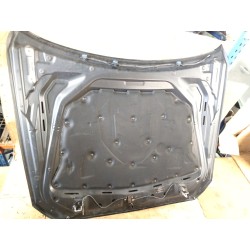 Recambio de capot para bmw 5 (f10) 520 d referencia OEM IAM   