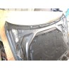 Recambio de capot para bmw 5 (f10) 520 d referencia OEM IAM   