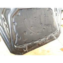 Recambio de capot para bmw 5 (f10) 520 d referencia OEM IAM   