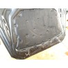 Recambio de capot para bmw 5 (f10) 520 d referencia OEM IAM   