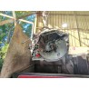 Recambio de caja cambios manual para dacia duster (hm_) 1.5 dci 90 (hmaa) referencia OEM IAM TL4B361  