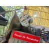 Recambio de caja cambios manual para kia rio ii (jb) 1.5 crdi referencia OEM IAM P61763  