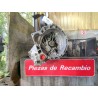Recambio de caja cambios manual para ford fusion (ju_) 1.4 tdci referencia OEM IAM 2S6R7002NB  