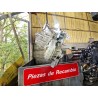 Recambio de caja cambios manual para fiat ii bravo (198)(2007) 1.9 d multijet referencia OEM IAM 464332891  