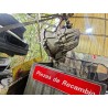 Recambio de caja cambios manual para fiat ii bravo (198)(2007) 1.9 d multijet referencia OEM IAM 464332891  
