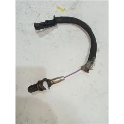 SONDA LAMBDA 25164596 