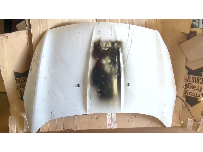Recambio de capot para ford kuga ii (dm2) 2.0 tdci 4x4 referencia OEM IAM   