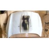 Recambio de capot para ford kuga ii (dm2) 2.0 tdci 4x4 referencia OEM IAM   