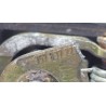 Recambio de maneta exterior delantera izquierda para seat toledo i (1l2) 1.9 d referencia OEM IAM 357837223  