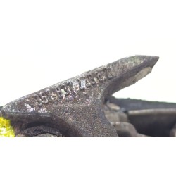 Recambio de maneta exterior delantera izquierda para seat toledo i (1l2) 1.9 d referencia OEM IAM 357837223  