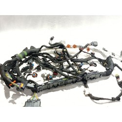 CABLEADO MOTOR G4D314A099A 