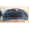 Recambio de capot para nissan nv200 furgoneta 1.5 dci 85 (m20, m20m) referencia OEM IAM   