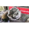 Recambio de caja cambios manual para audi a4 b7 (8ec) 2.0 tdi referencia OEM IAM JEE  