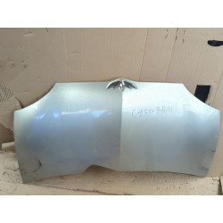 CAPOT 