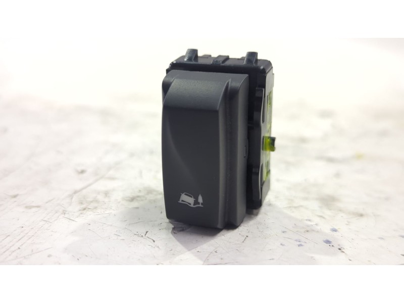 INTERRUPTOR 251454612R 