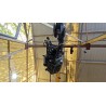 MOTOR COMPLETO 3EA 1290 4004 
