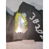 Recambio de potenciometro pedal gas para toyota verso (aur2/zgr2)(2009) 2.0 d-4d referencia OEM IAM 7811002020  