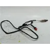 Recambio de sonda lambda para peugeot 306 3/5 pt. (s1)(06.1996) referencia OEM IAM 0258003203  