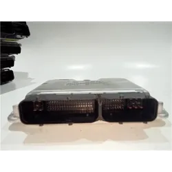 Recambio de centralita inyeccion para skoda fabia combi (6y5)(2000) 1.9 sdi referencia OEM IAM 038906019NL  