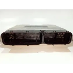 Recambio de centralita inyeccion para seat ibiza (6l1)(04.2002) 1.9 tdi referencia OEM IAM 038906019NL  