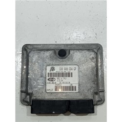 CENTRALITA INYECCION 036906034GP 