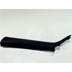 MOLDURA TECHO IZQUIERDA 51437276887 
