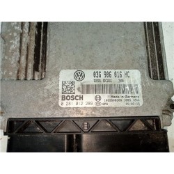 Recambio de centralita inyeccion para seat altea (5p1)(03.2004) 1.6 referencia OEM IAM 03G906016HC 1039S08208  